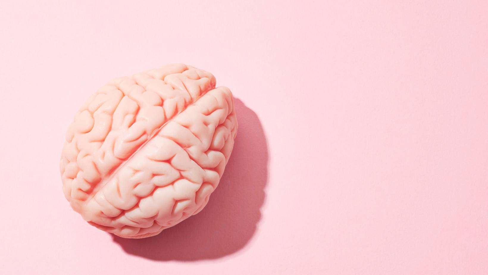 MINDSET IS EVERYTHING - KEEP YOUR BRAIN HEALTHY